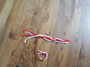 Pic 8a - braid 4 strips