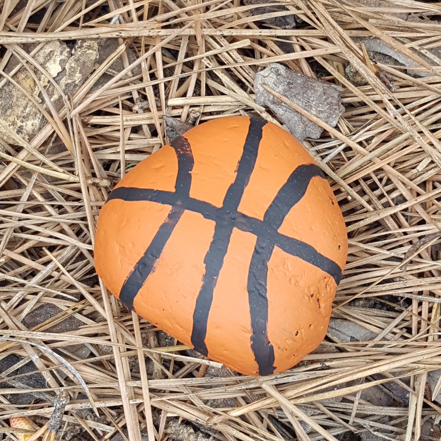 How to Paint Rocks for the Basketball Fan – Team Colors By Carrie