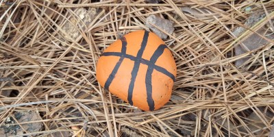 Painted Basketball Rock