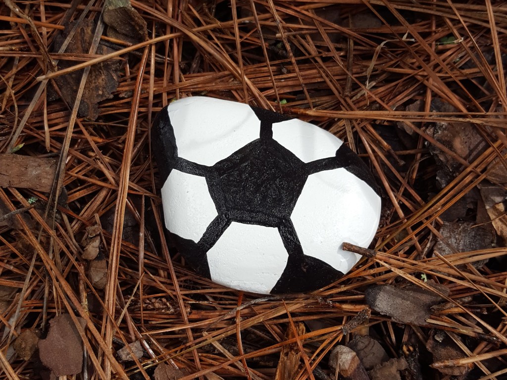 How to Paint Rocks for the Soccer Fan – Team Colors By Carrie