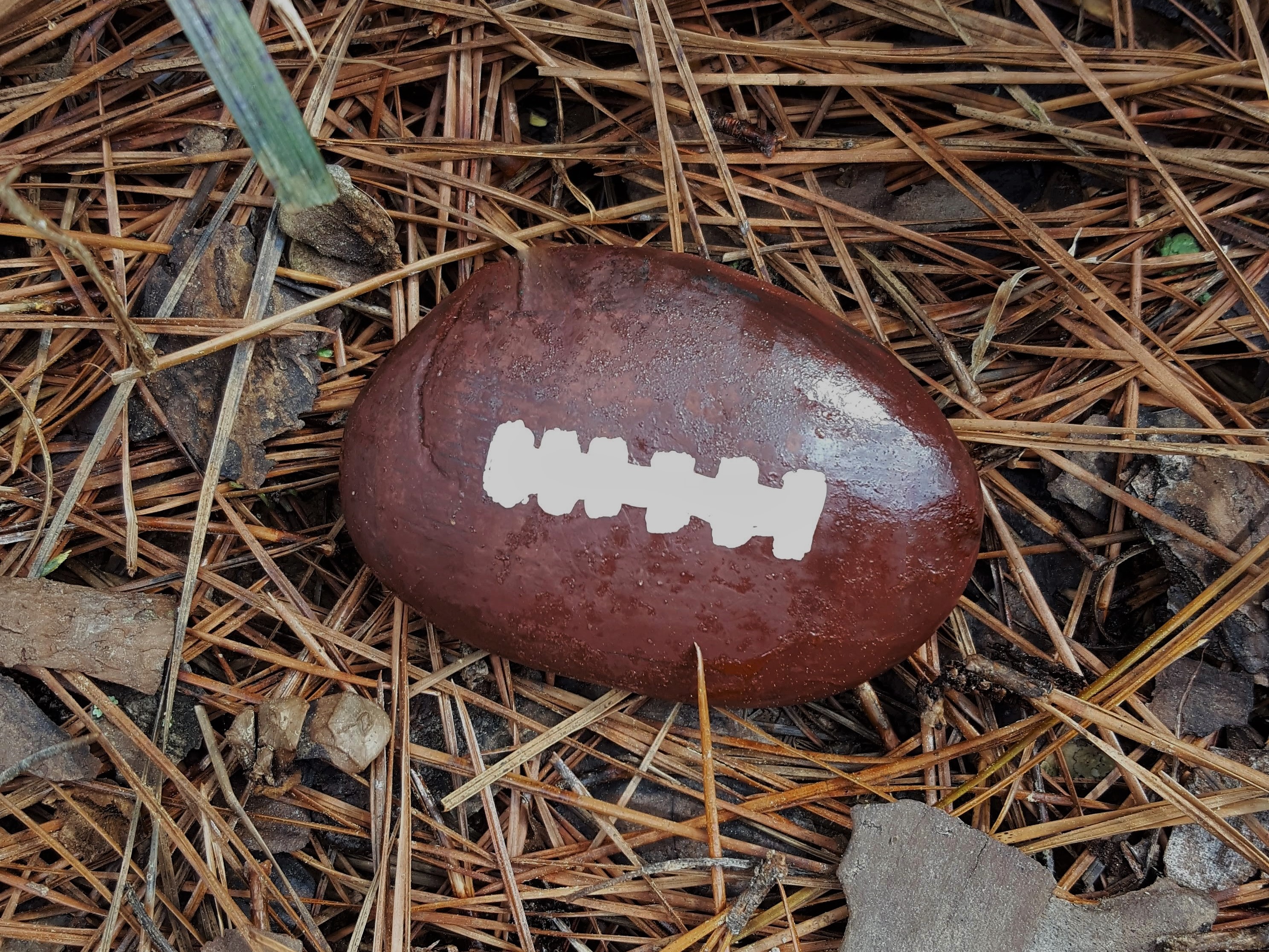 How to Paint Rocks for the Football Fan – Team Colors By Carrie